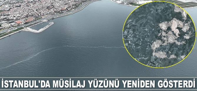 İstanbul'da müsilaj yüzünü yeniden gösterdi