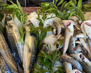 Karadeniz’deki serseri mayınlar, tezgahlara da yansıdı