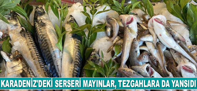 Karadeniz’deki serseri mayınlar, tezgahlara da yansıdı