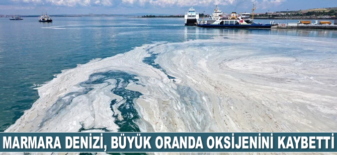 TBMM Araştırma Komisyonu, müsilaja karşı 157 çözüm önerisi sundu