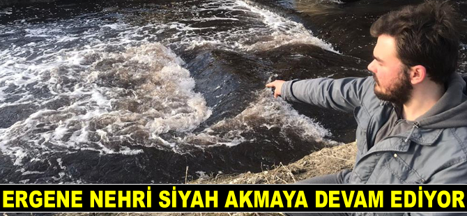 Ergene Nehri siyah akmaya devam ediyor