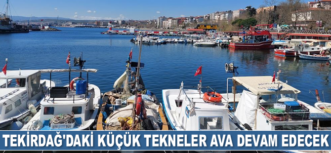 Tekirdağ'daki küçük tekneler ava devam edecek
