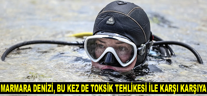 Marmara Denizi, bu kez de toksik tehlikesi ile karşı karşıya kaldı