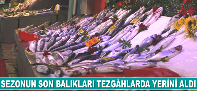 Sezonun son balıkları tezgâhlarda yerini aldı