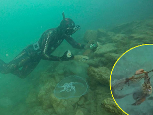 Su altı dronu, İstanbul Boğazı’ndaki kirliliğin boyutunu gözler önüne serdi