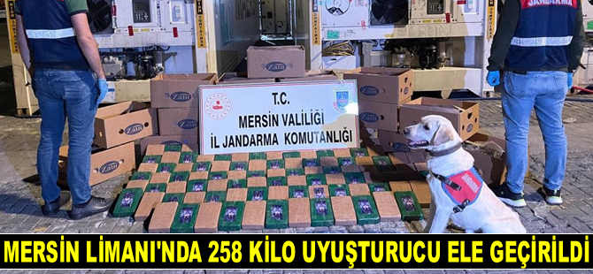 Mersin Limanı'nda 258 kilo uyuşturucu ele geçirildi