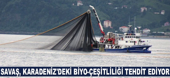 Savaş, Karadeniz'deki biyo-çeşitliliği tehdit ediyor