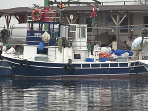 Av sezonunun sona ermesiyle kıyı balıkçılığı daha çok artacak