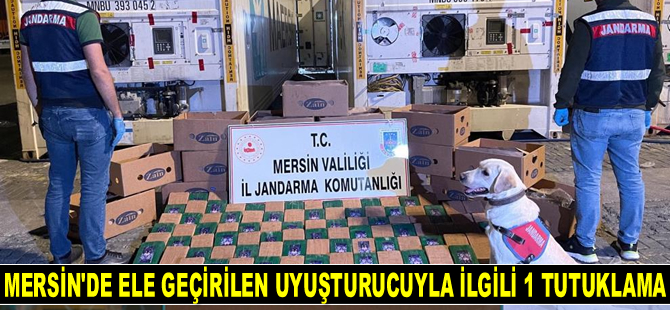 Mersin Limanı’nda ele geçirilen uyuşturucuyla ilgili 1 kişi tutuklandı