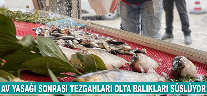 Av yasağı sonrası tezgahları olta balıkları süslüyor