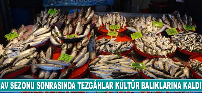 Av sezonu sonrasında tezgâhlar kültür balıklarına kaldı