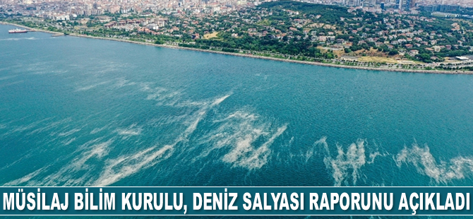 Müsilaj Bilim Kurulu, deniz salyası raporunu açıkladı