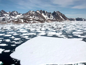 Arktik deniz buzu, son 44 yılın en düşük seviyesine ulaştı