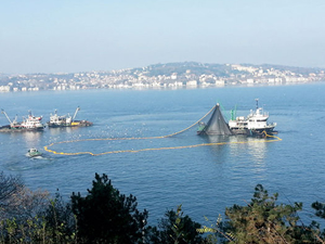 Prof. Dr. Msustafa Sarı: Boğazlar ve çevrelerinin bir bölümü balık avcılığına kapatılmalı