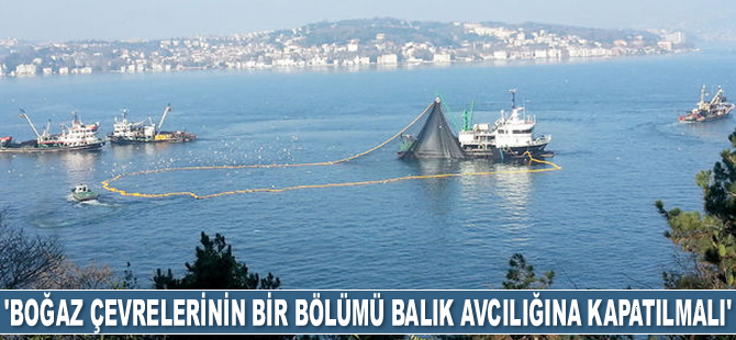 Prof. Dr. Msustafa Sarı: Boğazlar ve çevrelerinin bir bölümü balık avcılığına kapatılmalı