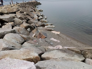 Bandırma'da deniz çekilmesi artarak devam ediyor