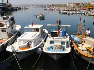 Tekirdağ'da küçük tekneler, limana sardalyayla dönüyor