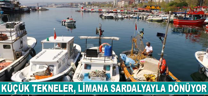 Tekirdağ'da küçük tekneler, limana sardalyayla dönüyor