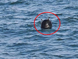 Denizcilere, ‘serseri mayın’ talimatı gönderildi