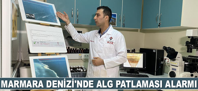 Marmara Denizi’nde alg patlaması alarmı verildi