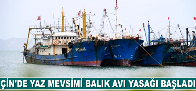 Çin'de yaz mevsimi balık avı yasağı başladı