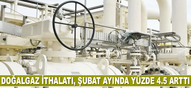Doğalgaz ithalatı, Şubat ayında yüzde 4.5 arttı