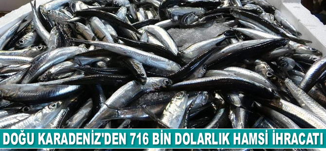 Doğu Karadeniz’den 716 bin dolarlık hamsi ihracatı gerçekleştirildi