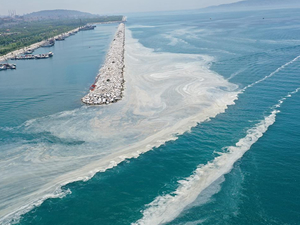 Deniz salyası için 30 maddelik yasa teklifi, bu hafta TBMM’ye sunulacak