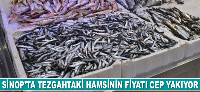 Sinop’ta tezgahtaki hamsinin fiyatı cep yakıyor