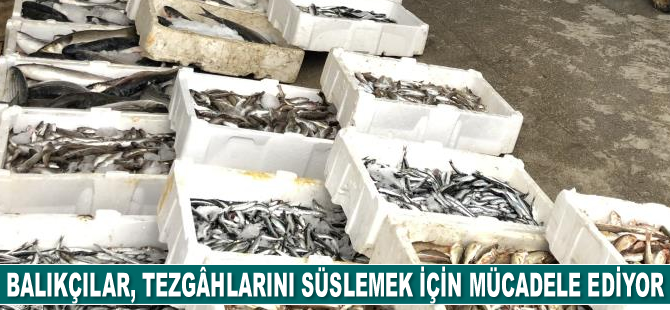 Balıkçılar, tezgâhlarını süslemek için mücadele ediyor