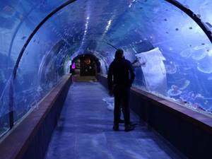 Tünel Akvaryum, 19 Mayıs’ta açılacak