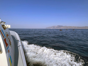 Datça’da 65 düzensiz göçmen kurtarıldı