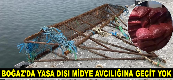 İstanbul Boğazı’nda yasa dışı midye avcılığına geçit yok