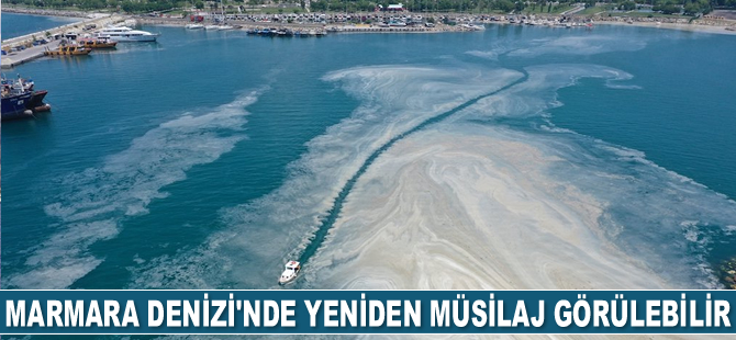 Marmara Denizi'nde yeniden müsilaj görülebilir
