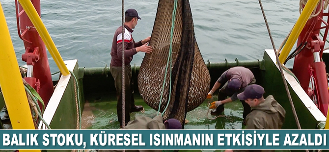 Marmara'daki balık stoku, küresel ısınmanın etkisiyle azaldı