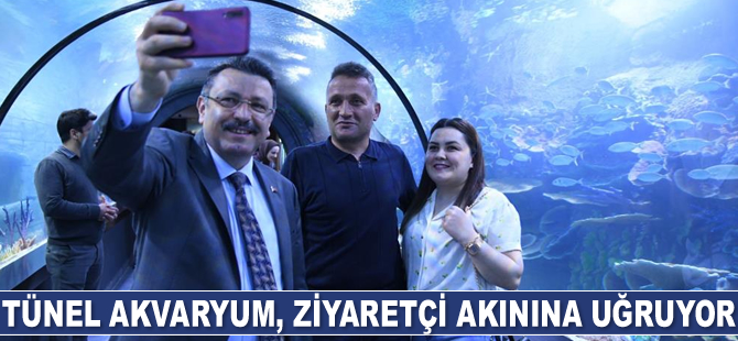 Trabzon'daki Tünel Akvaryum, ziyaretçi akınına uğruyor
