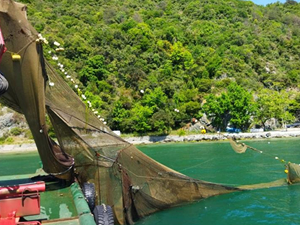 İstanbul Boğazı'ndaki kaçak dalyanlar kaldırıldı