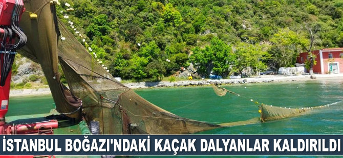 İstanbul Boğazı'ndaki kaçak dalyanlar kaldırıldı