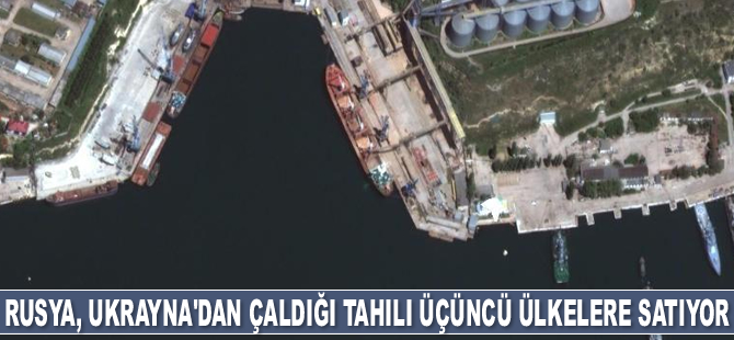 Rusya, Ukrayna’dan çaldığı buğdayı üçüncü ülkelere satıyor