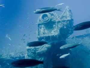 Deniz yaşamı, 250 milyon yılın en büyük yok oluş tehlikesiyle karşı karşıya kaldı