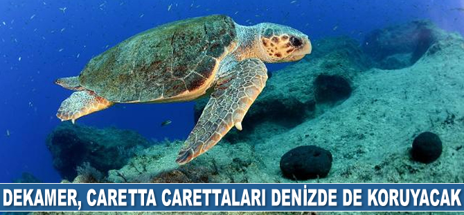 DEKAMER, caretta carettaları denizde de koruyacak