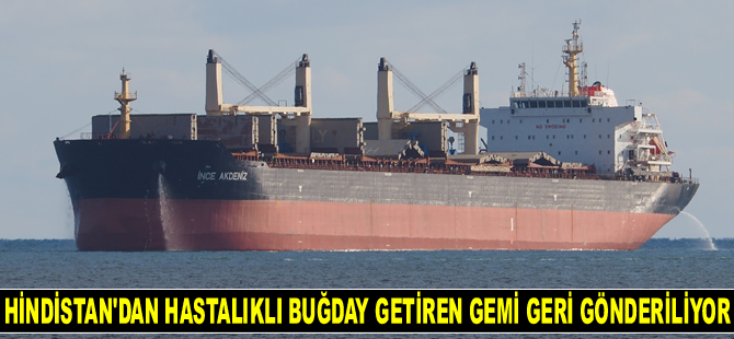 Hindistan’dan hastalıklı buğday getiren İnce Akdeniz gemisi geri gönderiliyor
