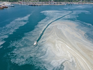 Müsilaj teklifi, TBMM Komisyonu’nda kabul edildi