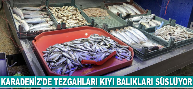 Tezgahları kıyı balıkları süslüyor