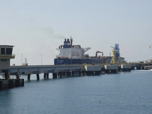 TEMSAN, Ceyhan Limanı’nda yüzer kreyn hizmeti alacak