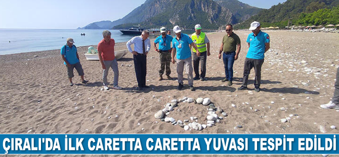 Çıralı'da ilk caretta caretta yuvası tespit edildi