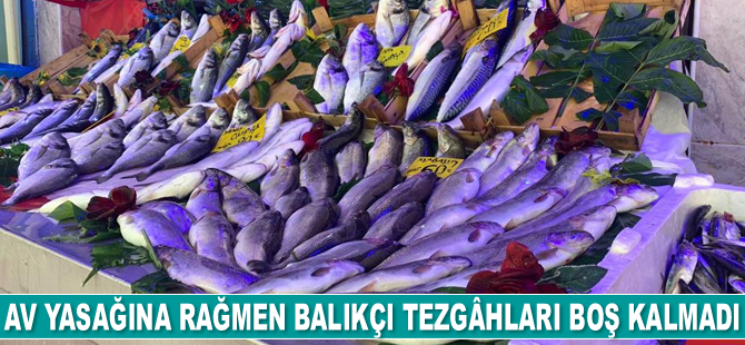 Av yasağına rağmen balıkçı tezgâhları boş kalmadı