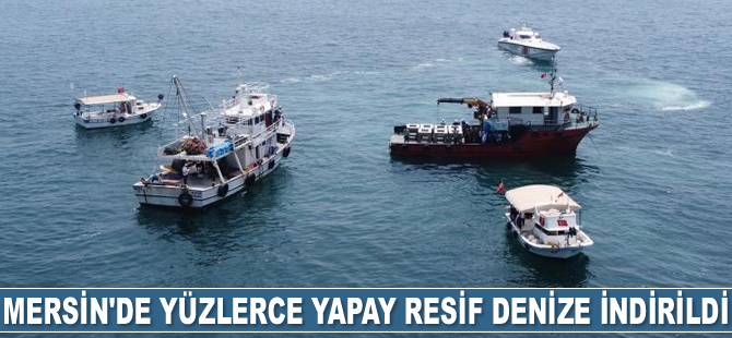 Mersin'de balıkların üremesi için yüzlerce yapay resif denize indirildi