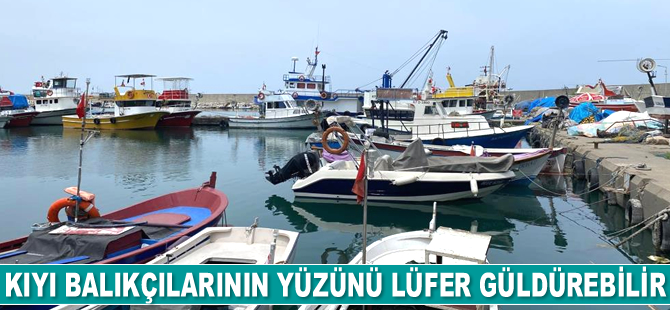 Zonguldak’ta kıyı balıkçılarının yüzünü lüfer güldürebilir