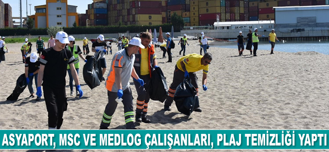 Asyaport, MSC ve Medlog çalışanları, plaj temizliği yaptı